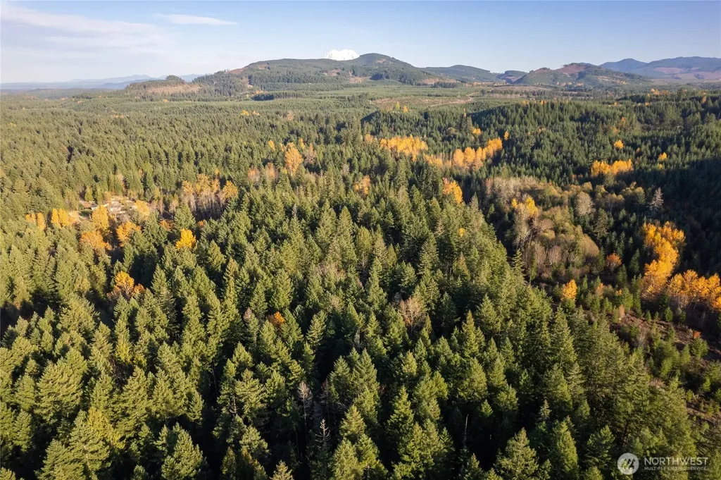 0 Bald Hills Road Yelm WA 98597