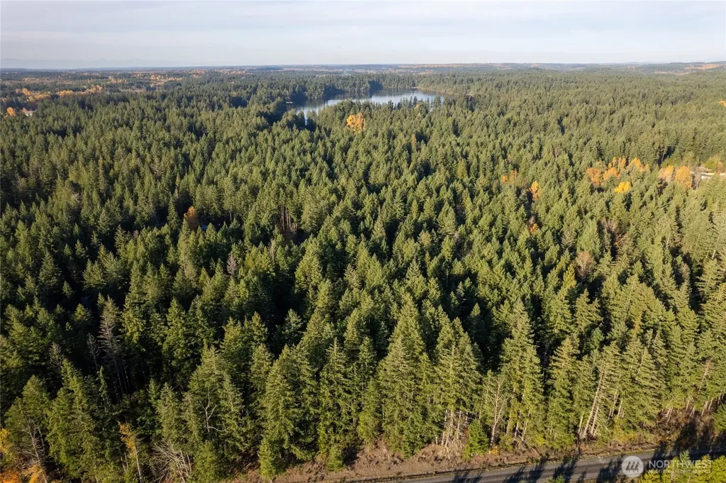 0 Bald Hills Road Yelm WA 98597