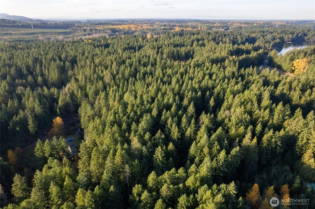 0 Bald Hills Road Yelm WA 98597