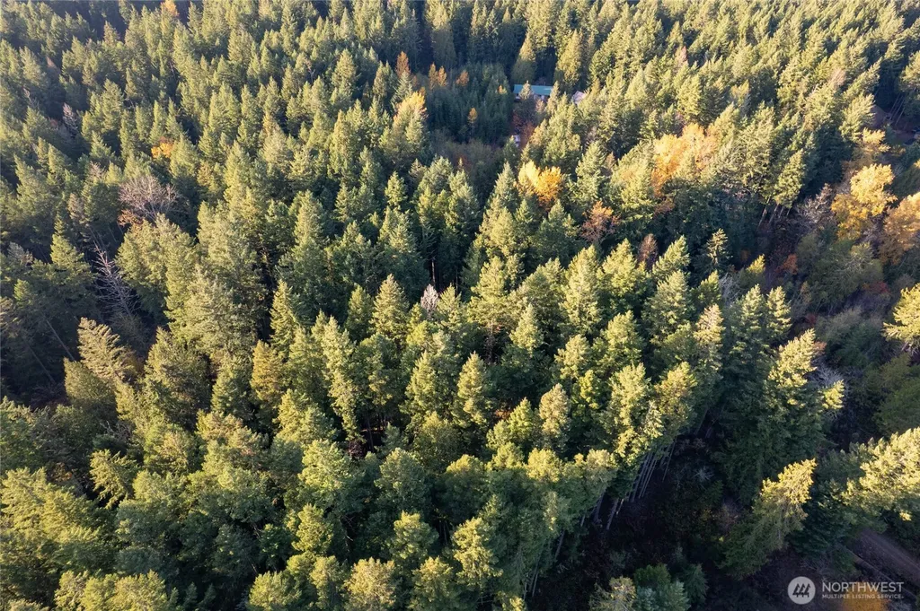 0 Bald Hills Road Yelm WA 98597