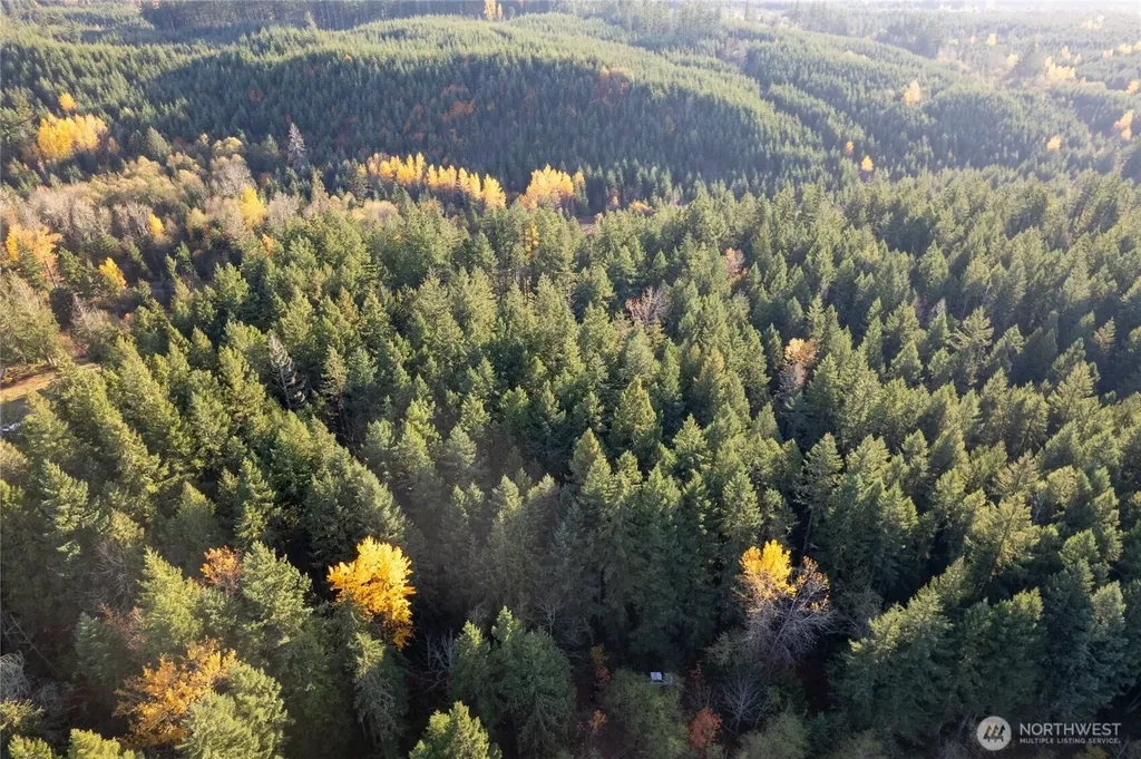 0 Bald Hills Road Yelm WA 98597