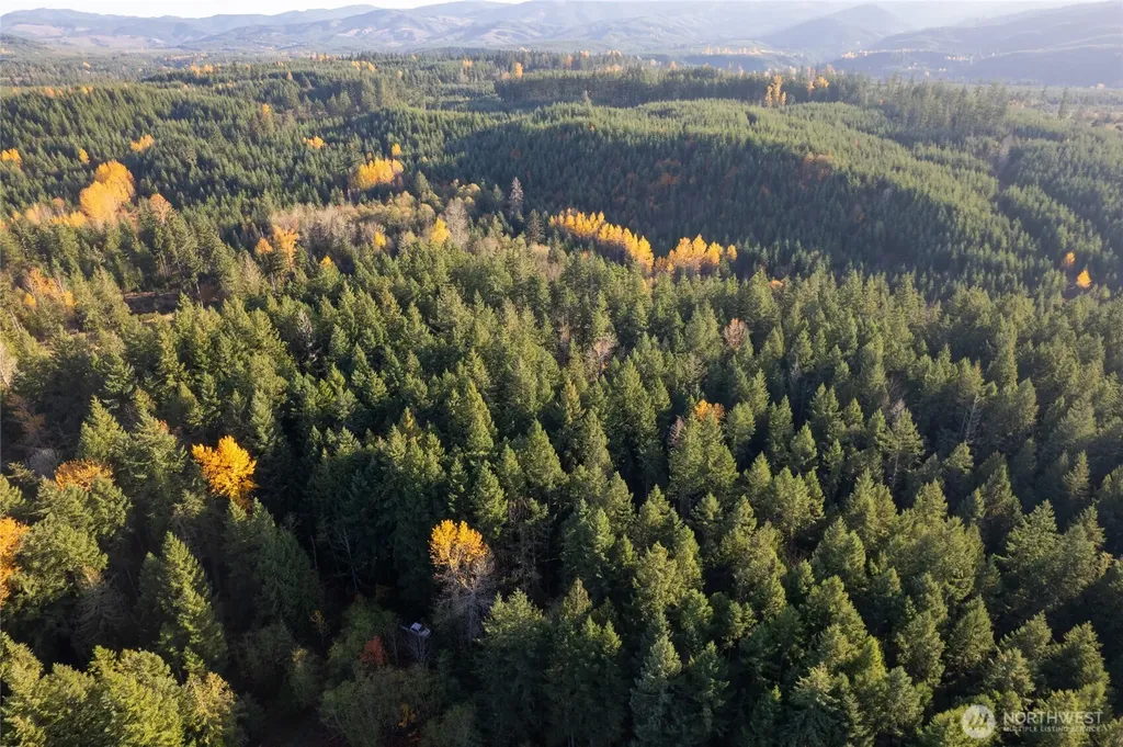 0 Bald Hills Road Yelm WA 98597