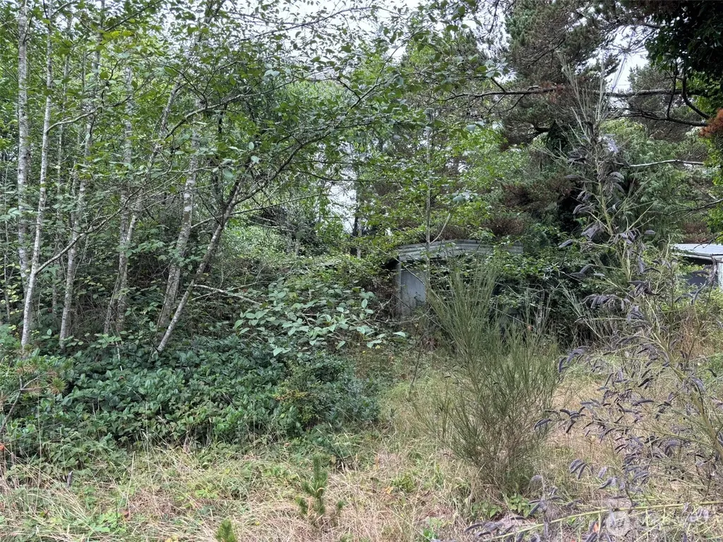 0 Wa-105 Grayland WA 98541
