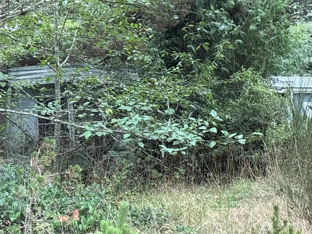 0 Wa-105 Grayland WA 98541
