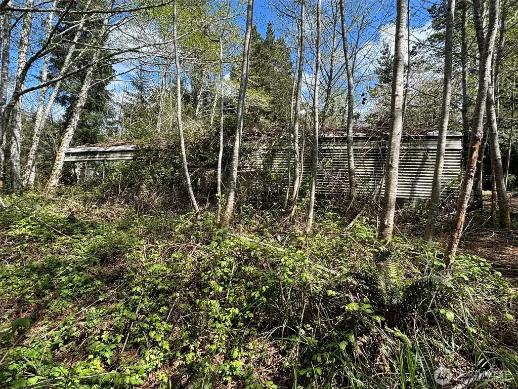 0 Wa-105 Grayland WA 98541
