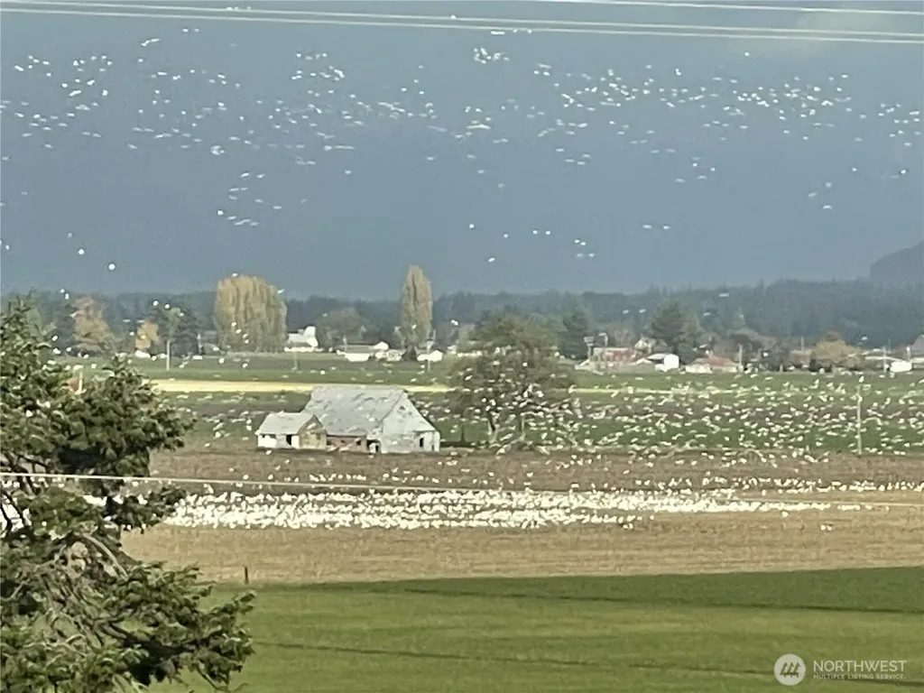 18122 Best Road Mount Vernon WA 98273