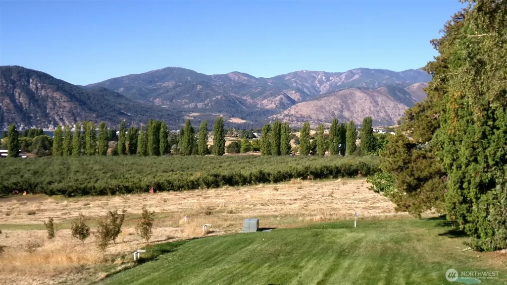 1555 Swartout Road Manson WA 98831