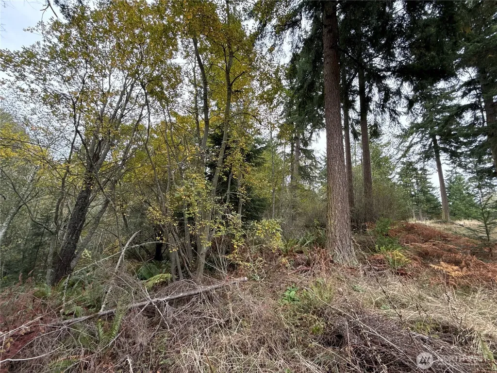 29922 Sr 525 Coupeville WA 98239