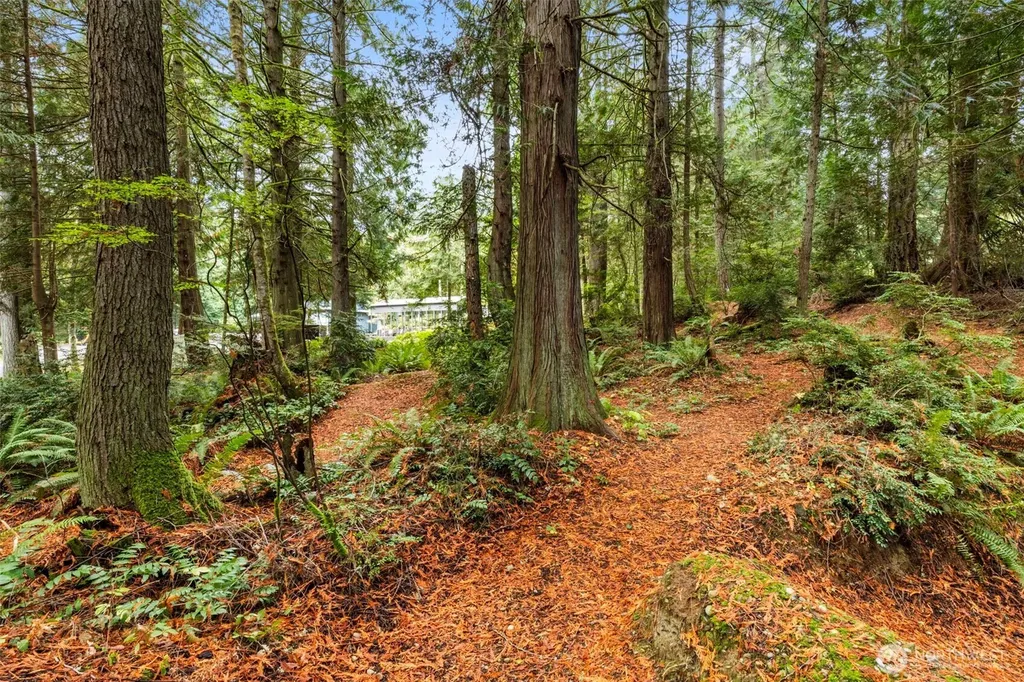 7698 Westerly Lane NE Bainbridge Island WA 98110