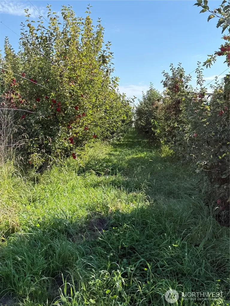 1 Mountain View Road Grandview WA 98930