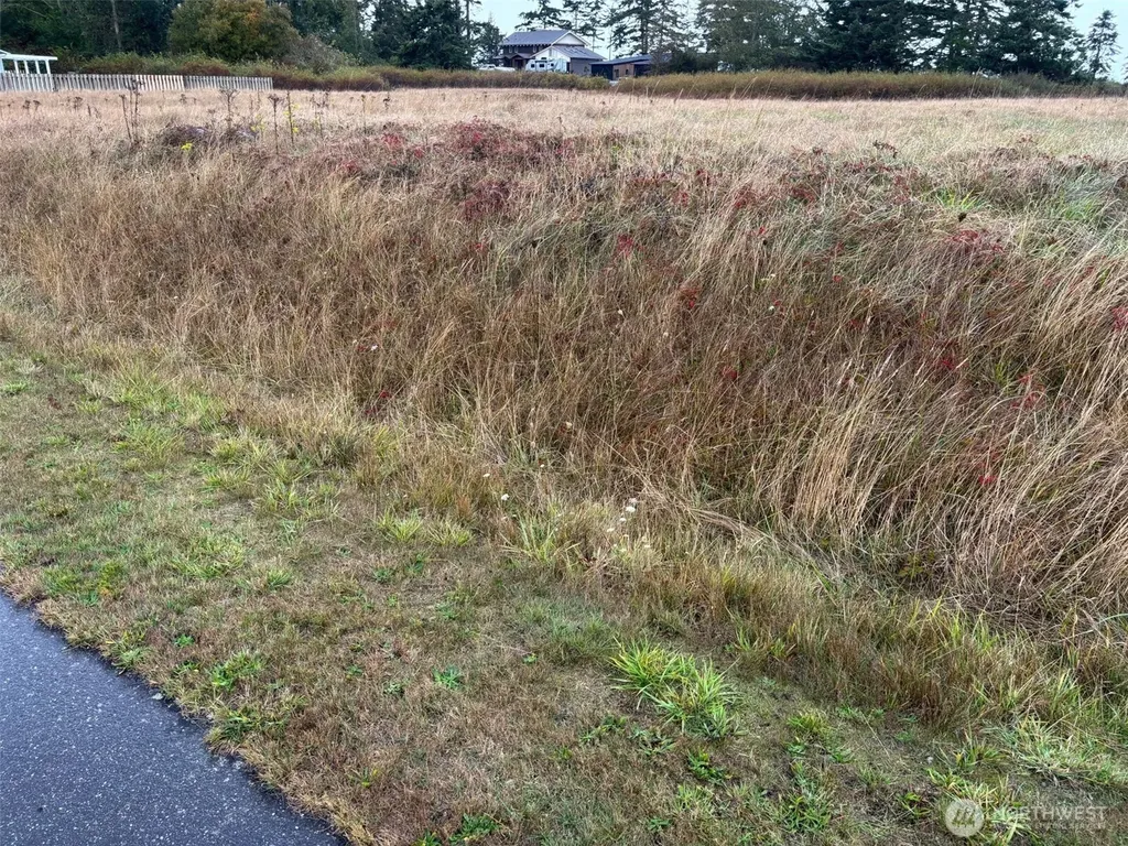 0 Monterey Street Coupeville WA 98239