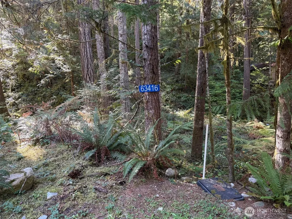63416 E Ross Place Marblemount WA 98267