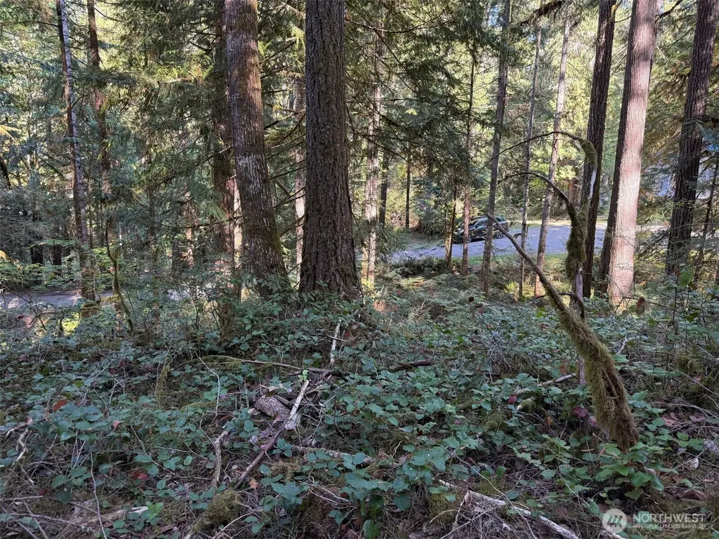 63416 E Ross Place Marblemount WA 98267