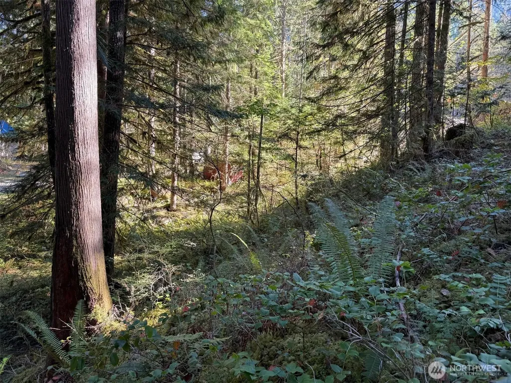 63416 E Ross Place Marblemount WA 98267