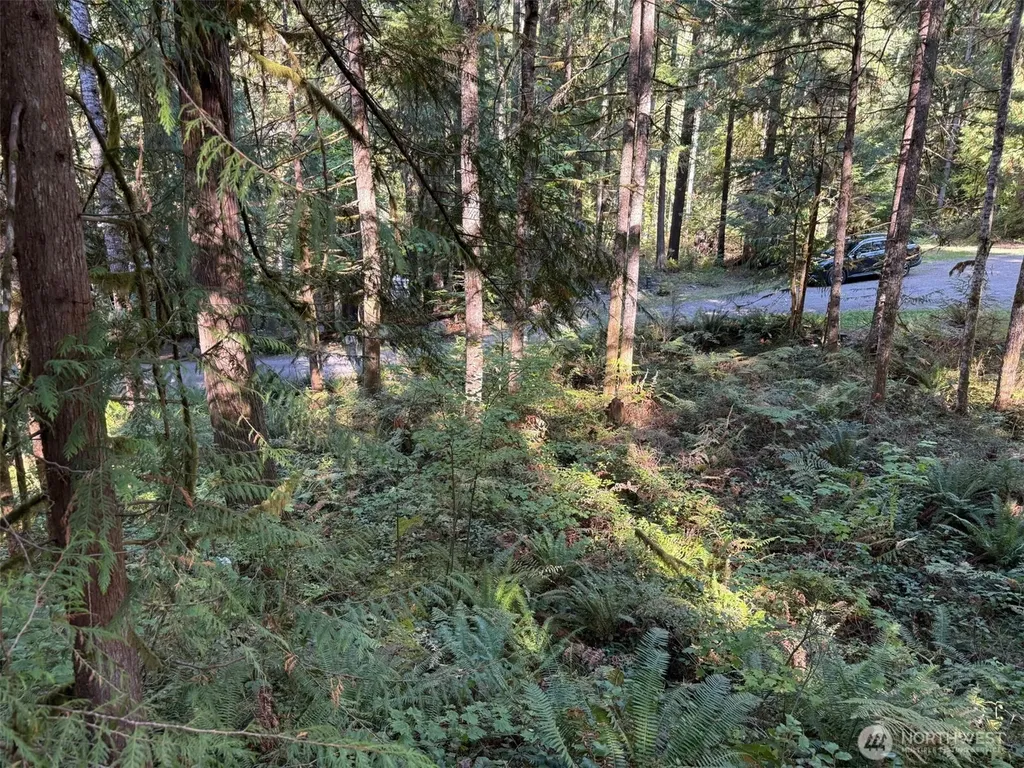 63416 E Ross Place Marblemount WA 98267