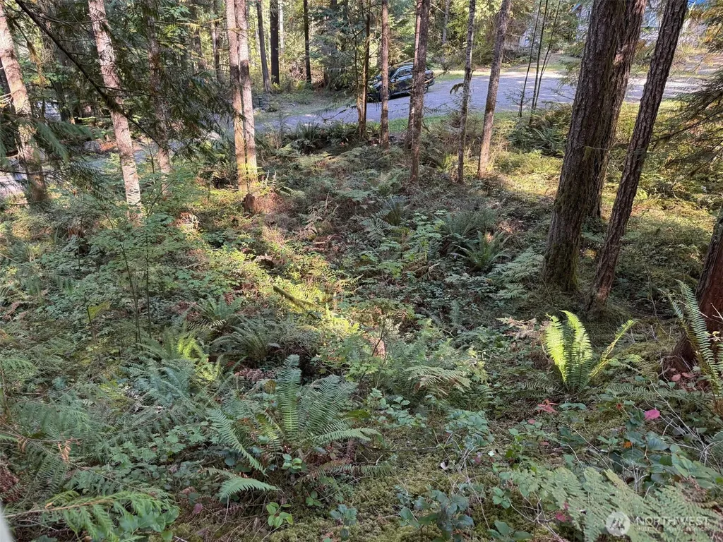 63416 E Ross Place Marblemount WA 98267