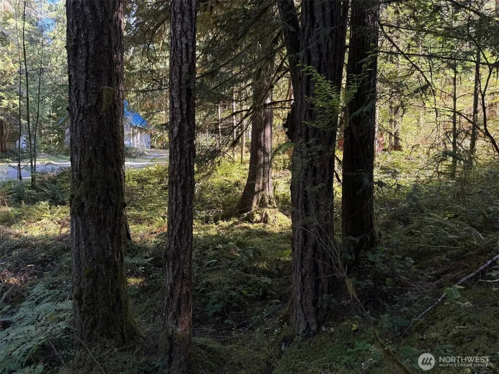 63416 E Ross Place Marblemount WA 98267