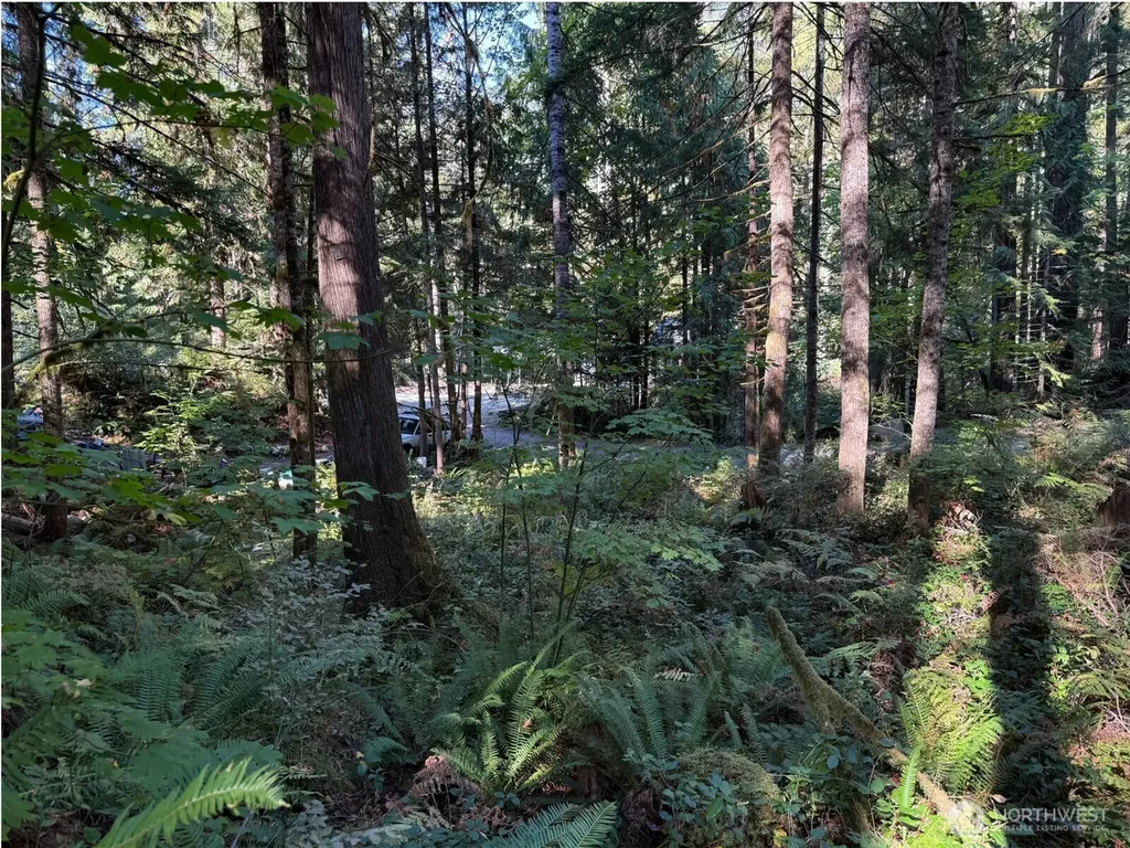 63416 E Ross Place Marblemount WA 98267