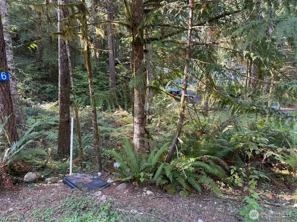 63416 E Ross Place Marblemount WA 98267
