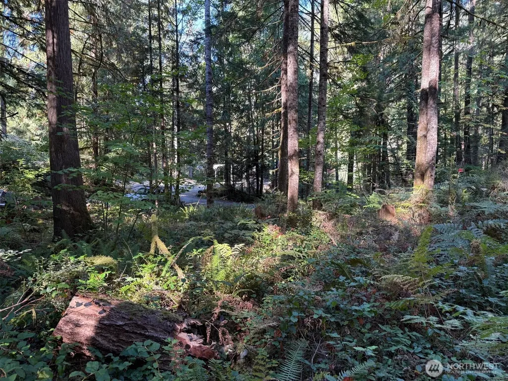 63416 E Ross Place Marblemount WA 98267