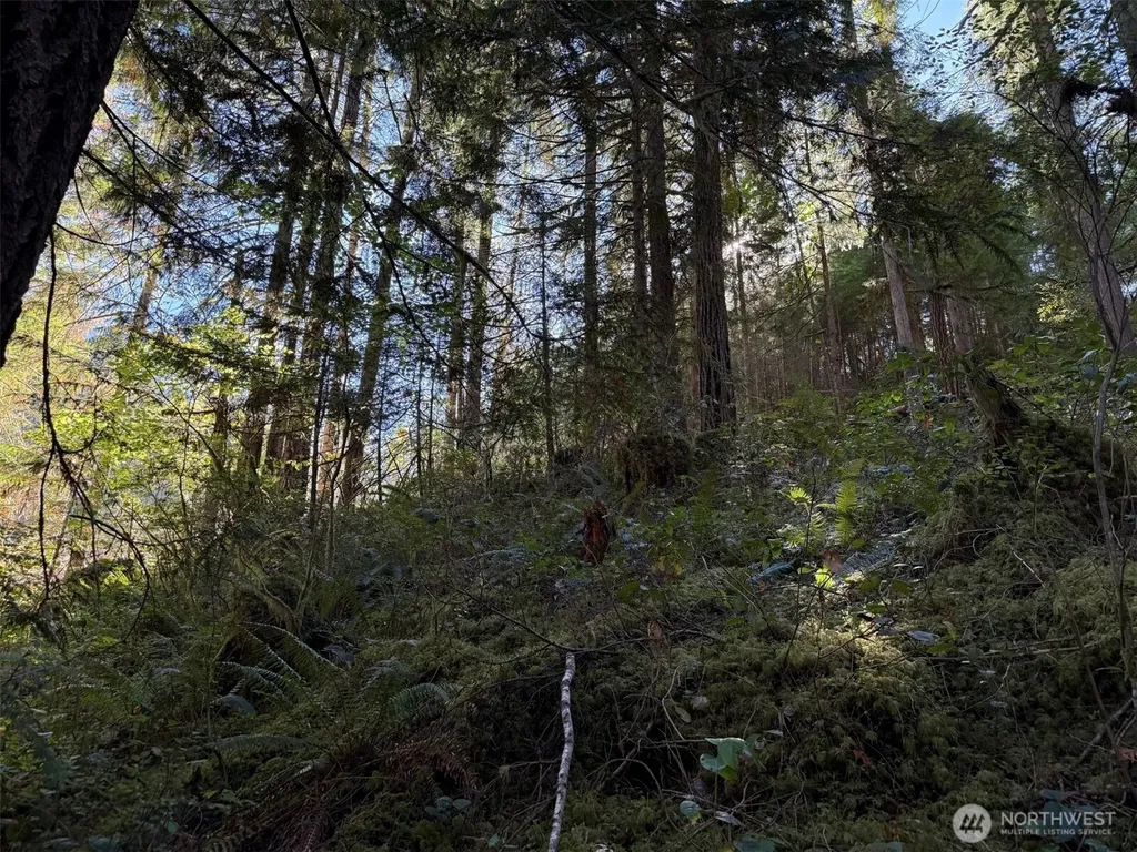 63416 E Ross Place Marblemount WA 98267