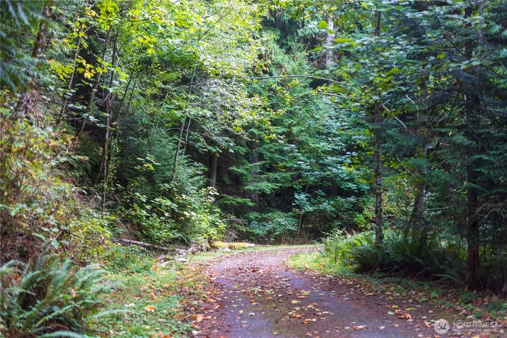 157 Chuckanut Crest Drive Bellingham WA 98229