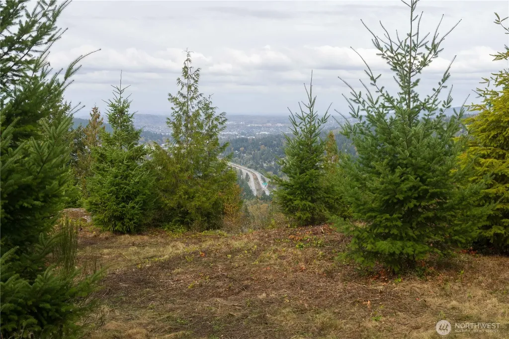 157 Chuckanut Crest Drive Bellingham WA 98229