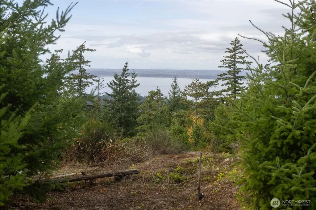 157 Chuckanut Crest Drive Bellingham WA 98229