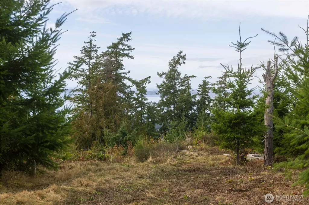 157 Chuckanut Crest Drive Bellingham WA 98229