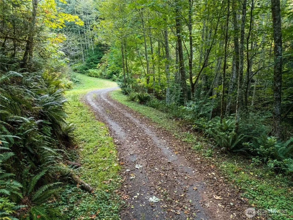 157 Chuckanut Crest Drive Bellingham WA 98229