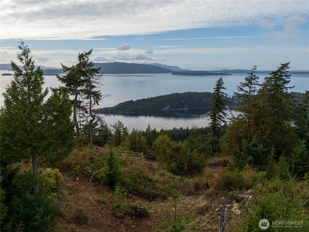 157 Chuckanut Crest Drive Bellingham WA 98229