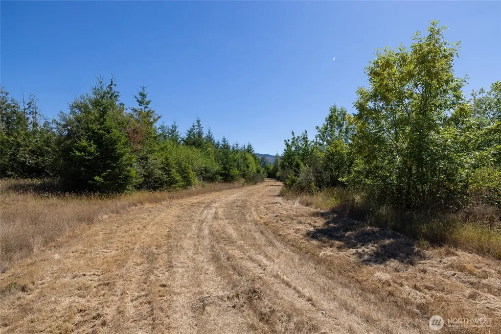 0 173rd Avenue SE Yelm WA 98597