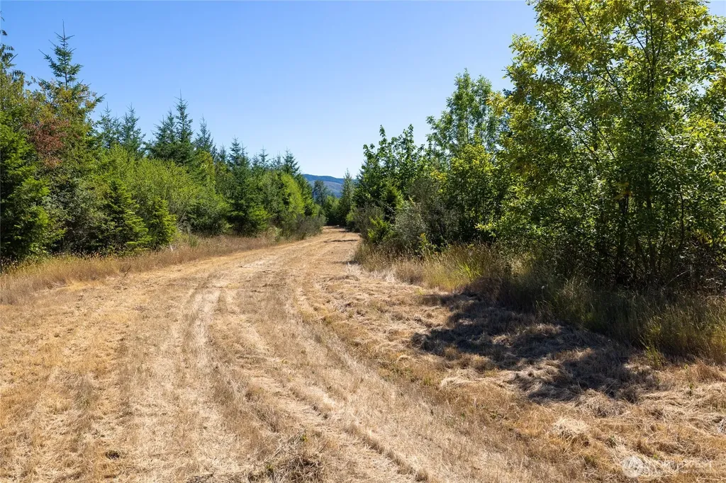 0 173rd Avenue SE Yelm WA 98597