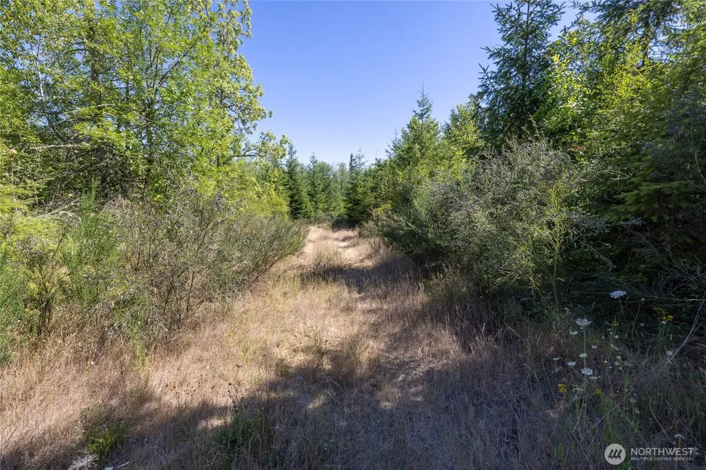 0 173rd Avenue SE Yelm WA 98597