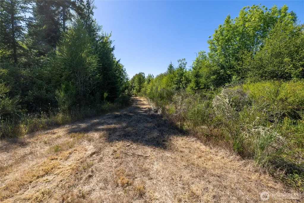 0 173rd Avenue SE Yelm WA 98597