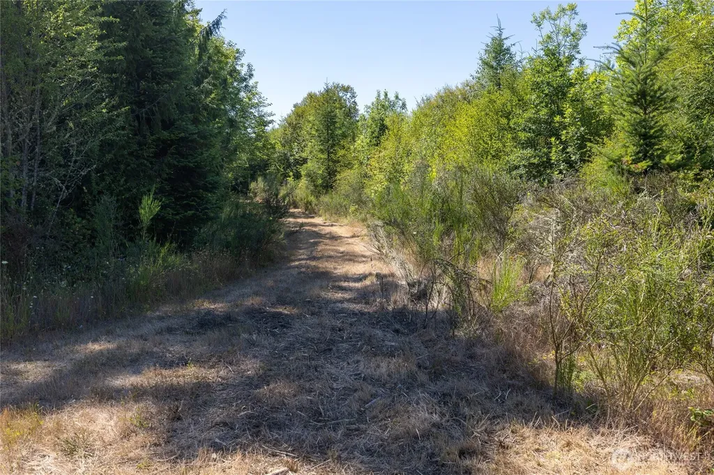 0 173rd Avenue SE Yelm WA 98597