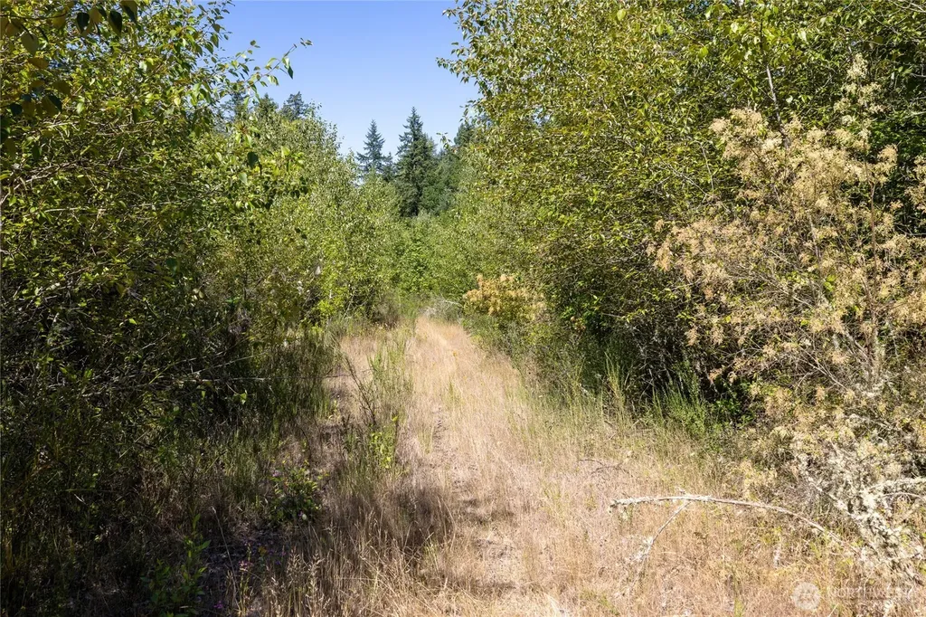 0 173rd Avenue SE Yelm WA 98597