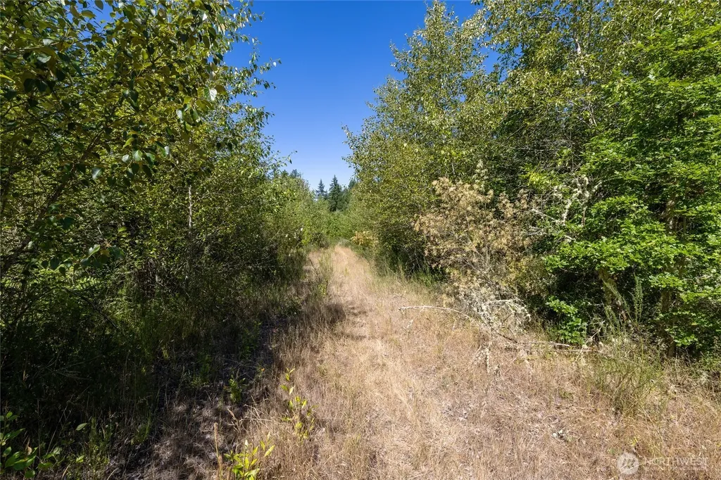 0 173rd Avenue SE Yelm WA 98597