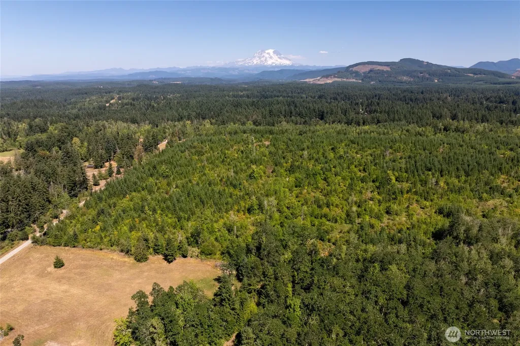 0 173rd Avenue SE Yelm WA 98597