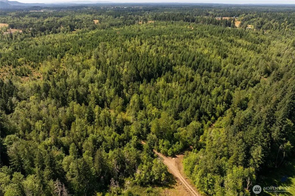 0 173rd Avenue SE Yelm WA 98597