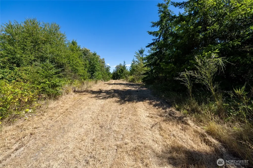 0 173rd Avenue SE Yelm WA 98597