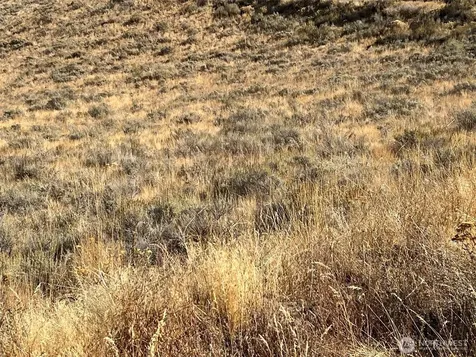 0 Mountain Spring Road Orondo WA 98843