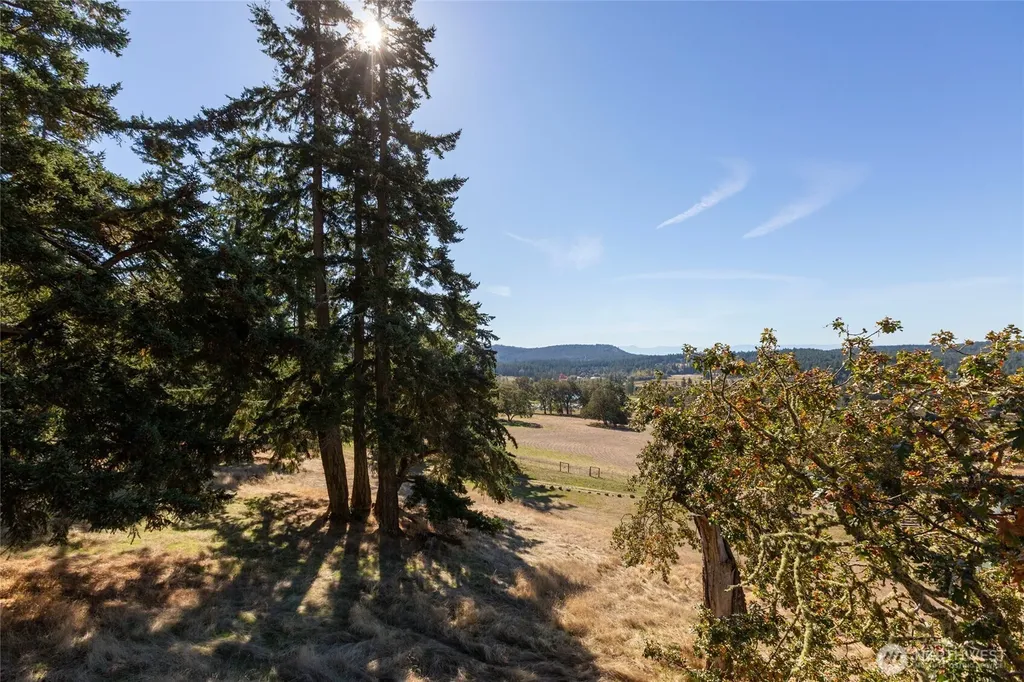 327 Twin Oaks Drive Friday Harbor WA 98250