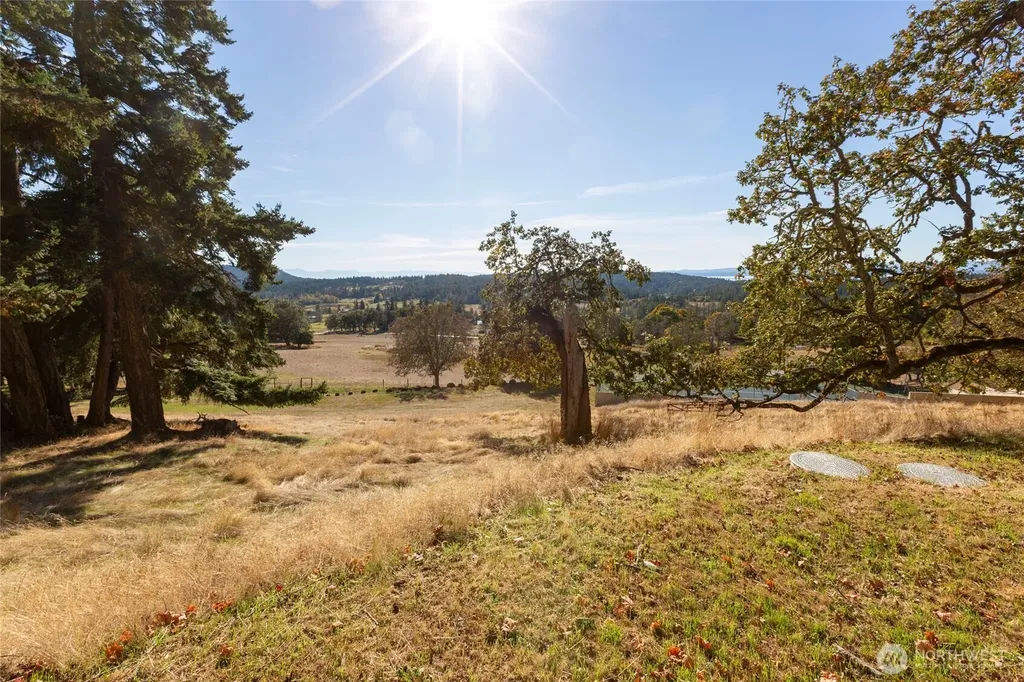 327 Twin Oaks Drive Friday Harbor WA 98250