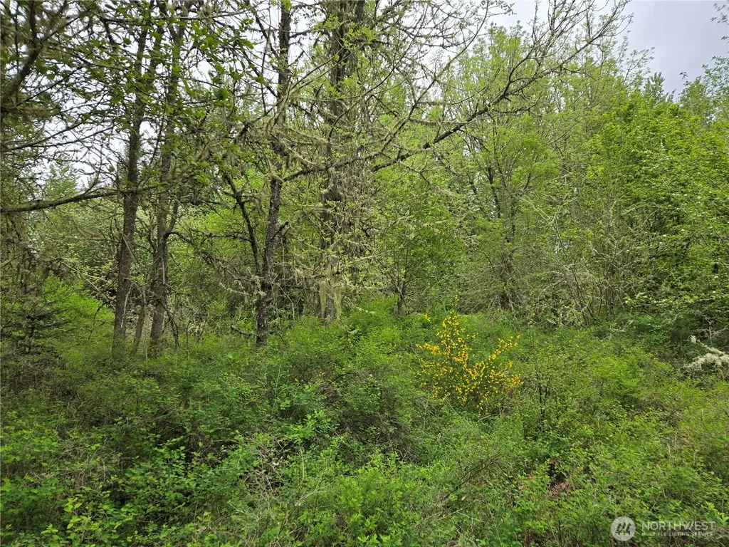 5102 Harts Lake Road S Roy WA 98580