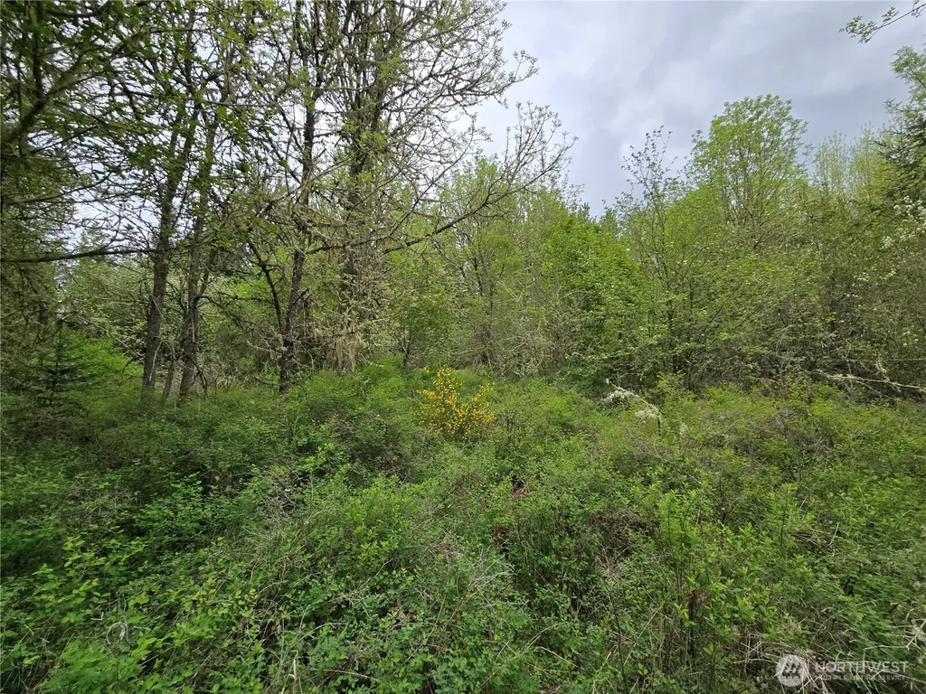 5102 Harts Lake Road S Roy WA 98580