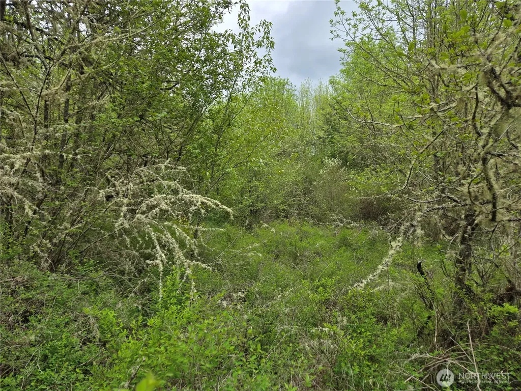 5102 Harts Lake Road S Roy WA 98580