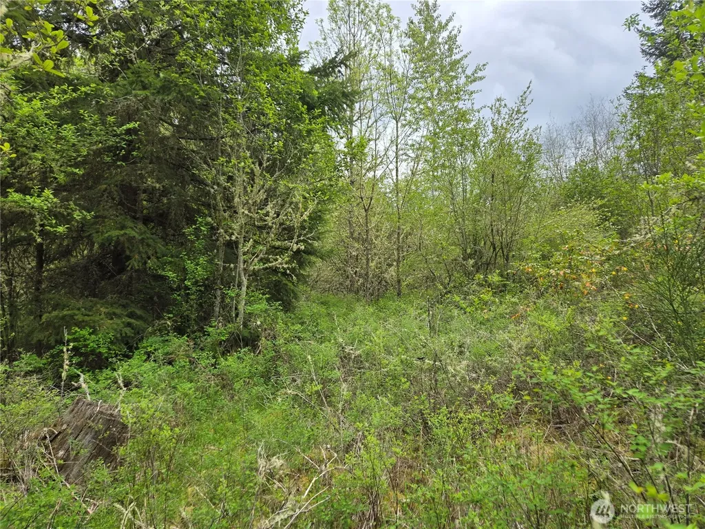 5102 Harts Lake Road S Roy WA 98580