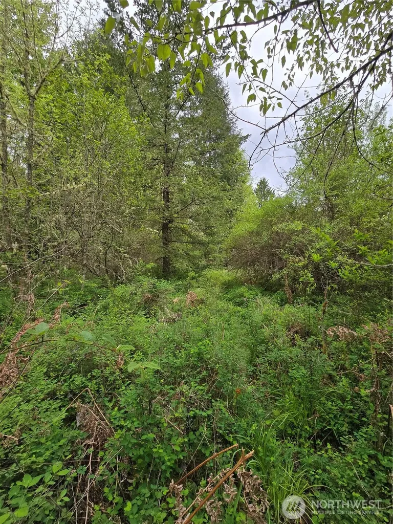 5102 Harts Lake Road S Roy WA 98580