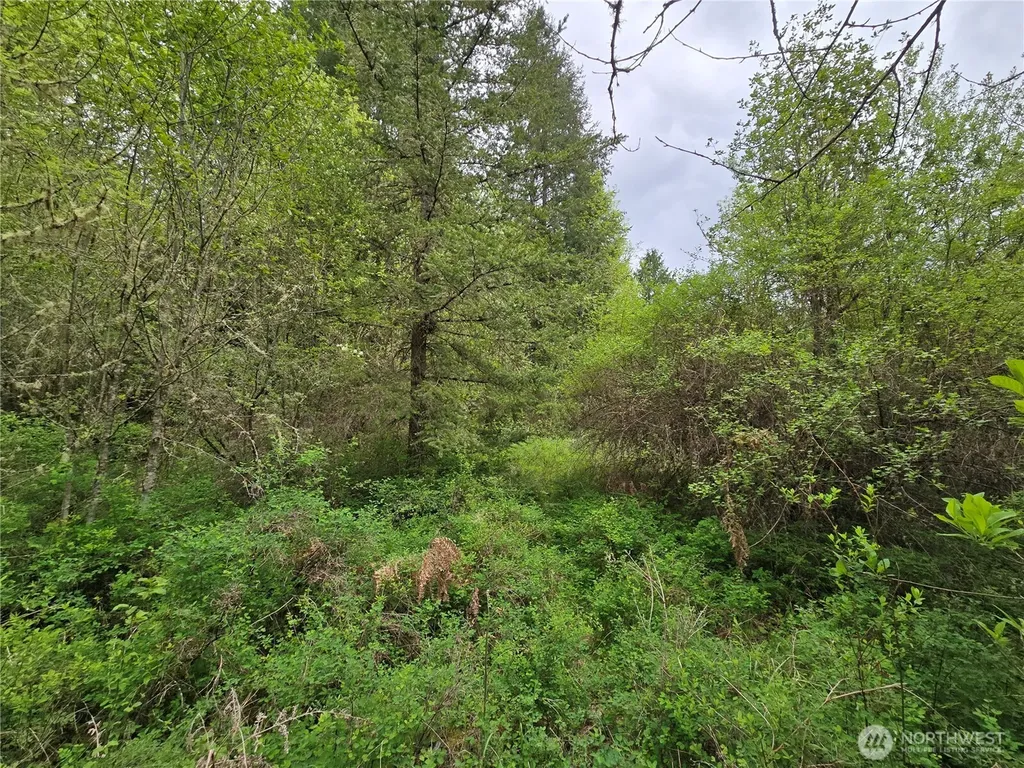 5102 Harts Lake Road S Roy WA 98580